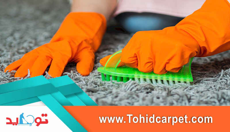 شستشوی فرش و موکت در قالیشویی توحید